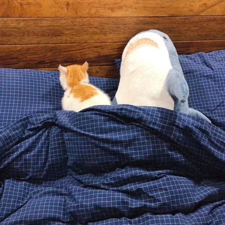 IKEA BLAHAJ wielki pluszowy REKIN 100cm maskotka