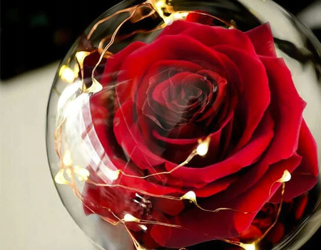Wieczna Róża w Szkle LED Świecąca– Idealny Prezent Na Święta, Jak Prawdziwa